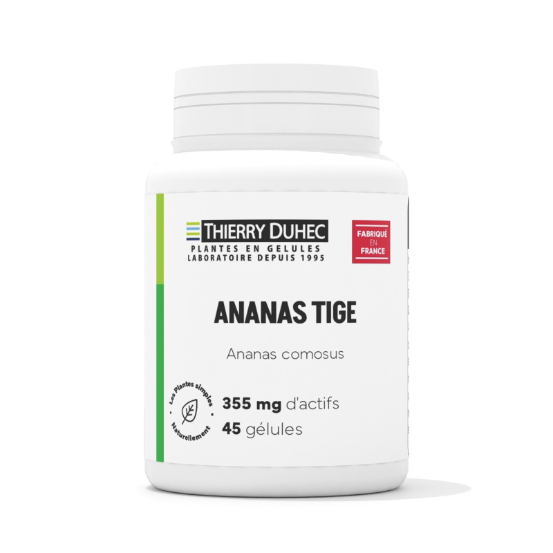 Ananas