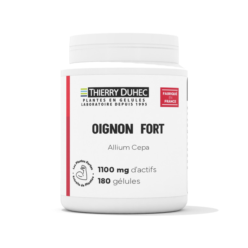 Oignon Fort