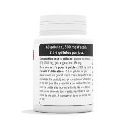 Chitosan Fort 500 mg