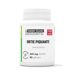 Ortie piquante