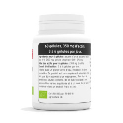 Ortie piquante BIO 350 mg