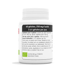 Vigne Rouge BIO 250 mg