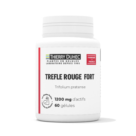 Trèfle rouge Fort