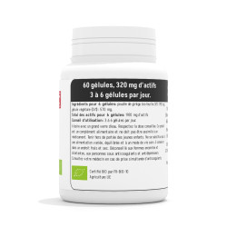 Ginkgo biloba BIO