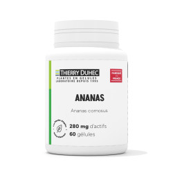 Ananas