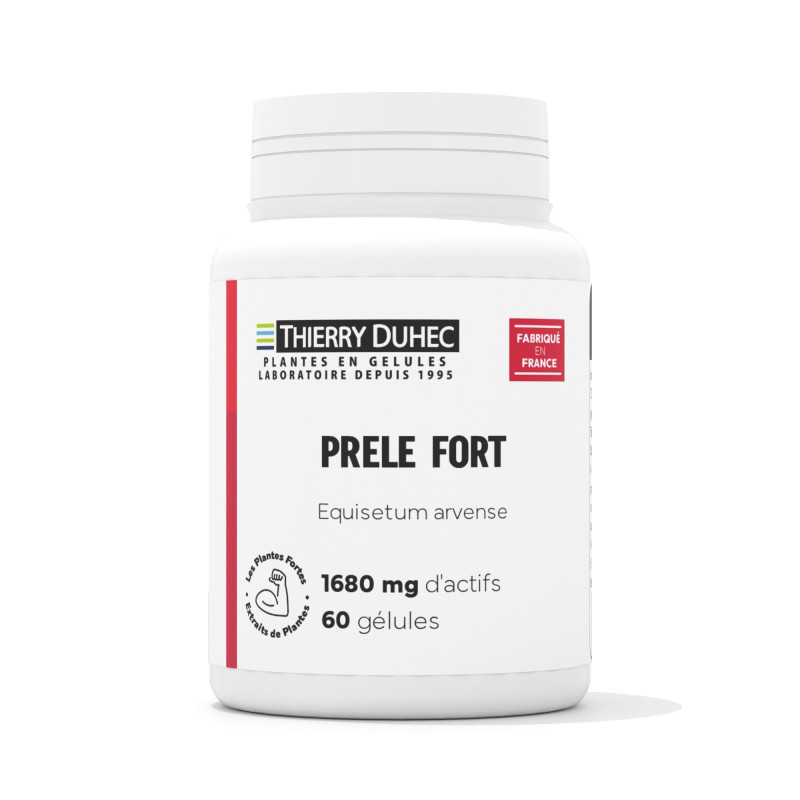 Prêle Fort