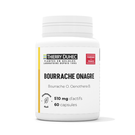 Bourrache Onagre