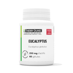 Eucalyptus 250 mg