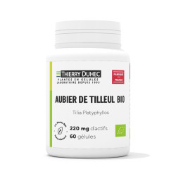 Aubier de tilleul BIO
