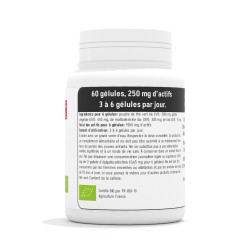Thé vert BIO 250 mg