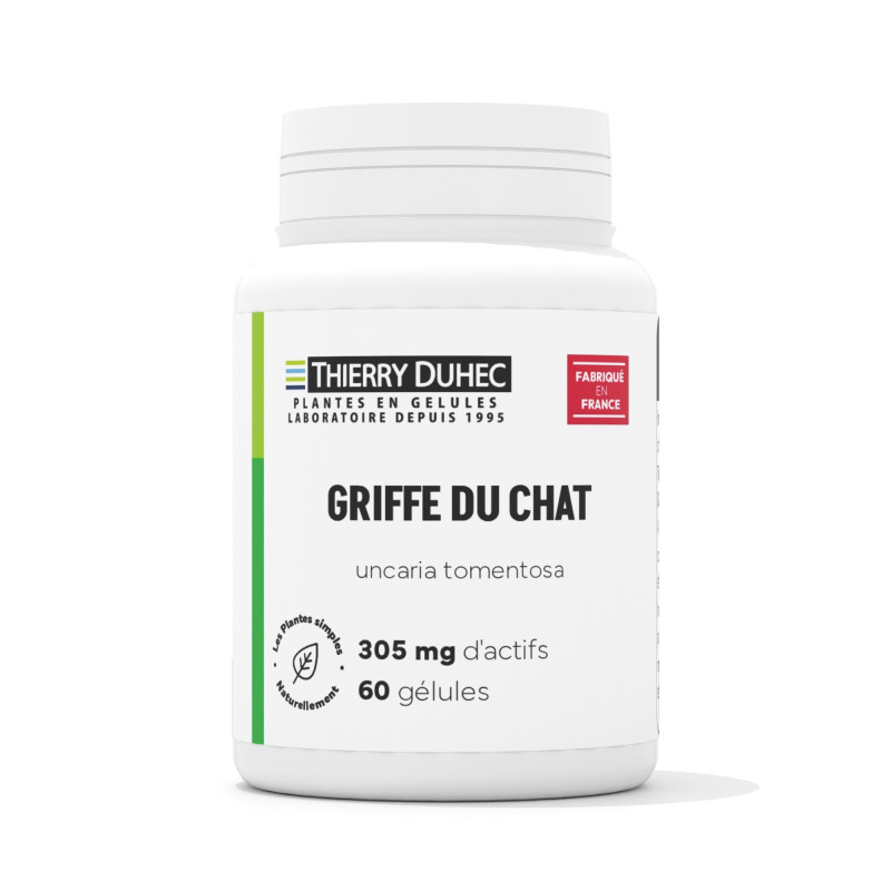 Griffe du chat