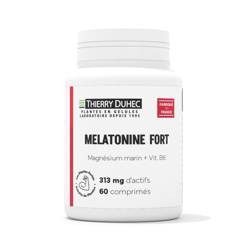 Mela Utra Fort
