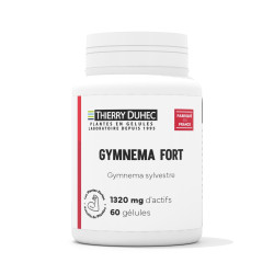 Gymnema Sylvestre Fort