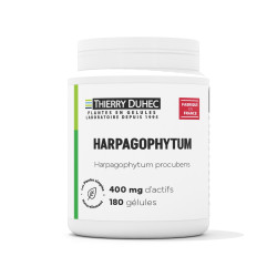 Harpagophytum