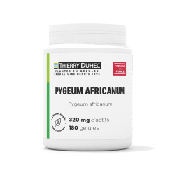 Pygeum africanum
