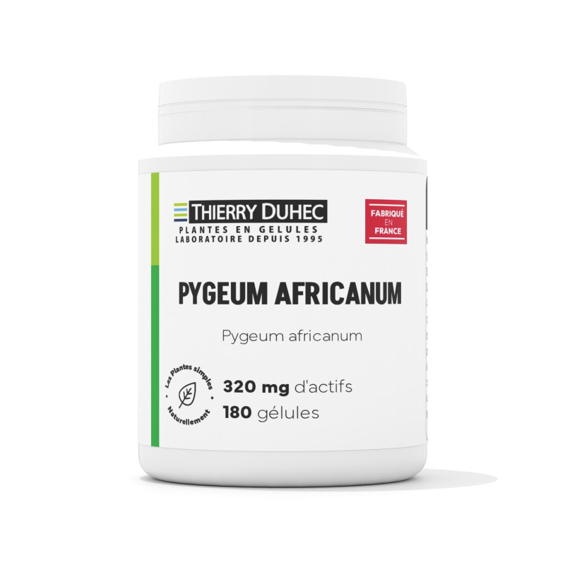 Pygeum africanum