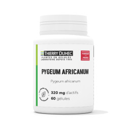 Pygeum africanum