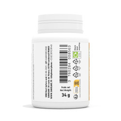 Synergie n° 08 R+ Articulation