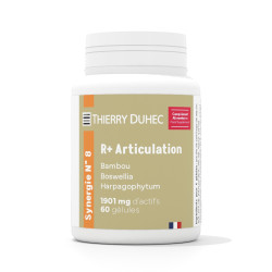 Synergie n° 08 R+ Articulation
