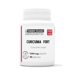Curcuma Fort 95% Curcumine 1344 mg