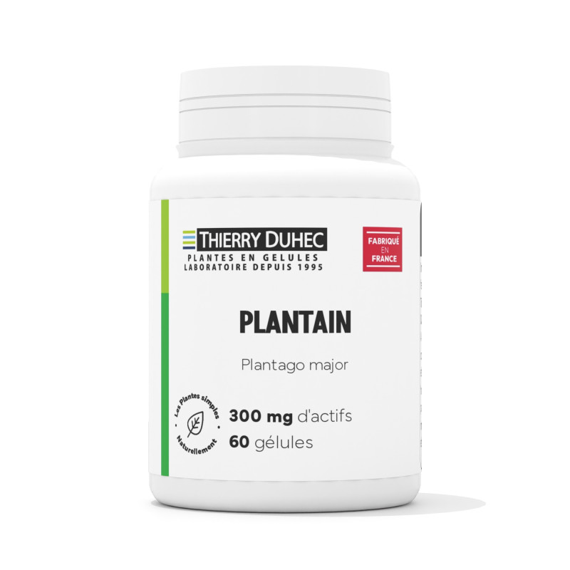 Plantain
