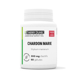 Chardon marie