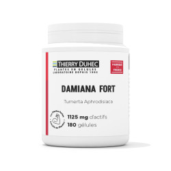 Damiana Fort