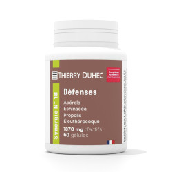 Synergie N° 18 Défenses