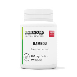 Bambou