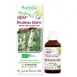 Bouleau BIO Phyto'Gem